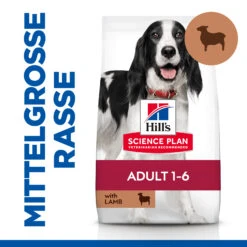 Hill's Science Plan Advanced Fitness Adult Medium Hundefutter - Lamm & Reis 15 Hill's Science Plan Advanced Fitness Adult Medium Hundefutter - Lamm & Reis -Spielzeug Pet 0BeKnieldDycaWRSQZxSeuwMBCWdJP metaQWR1bHQtTWVkaXVtLUhvbmQtTGFtLVJpanN0LTEtREUuSlBH