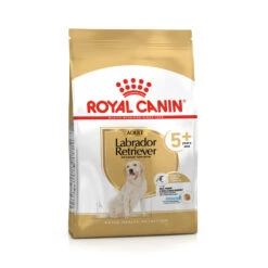 Royal Canin Labrador Retriever Adult 5+ Hundefutter
