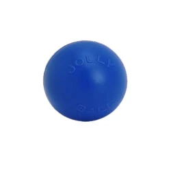 Jolly Ball Push-n-Play
