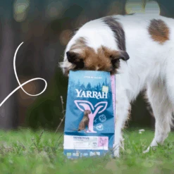 Yarrah Bio Sensitive Hundefutter -Spielzeug Pet 2Kbw2NgKvZjZRSZyn4yQy25AWLkYKV metaMTdDMUQwfjEuUE5H