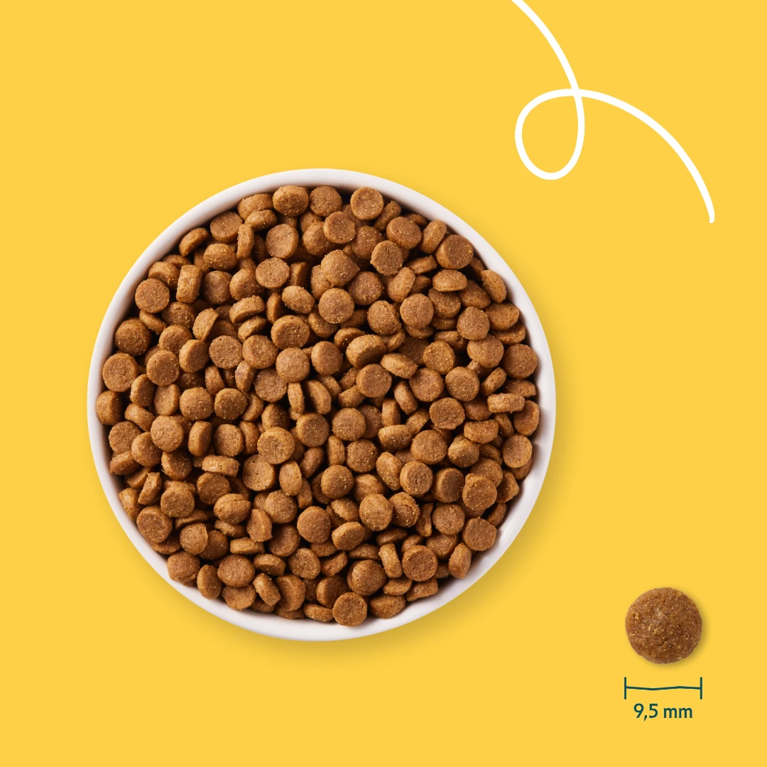 Yarrah Bio Small Breed Hundefutter 2 Yarrah Bio Small Breed Hundefutter – Bild 2