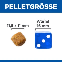 Hill's Science Plan Advanced Fitness Adult Medium Hundefutter - Lamm & Reis 18 Hill's Science Plan Advanced Fitness Adult Medium Hundefutter - Lamm & Reis -Spielzeug Pet 4Oo8gXR0zc897NZN7gTkReTu4m8otX metaQWR1bHQtTWVkaXVtLUhvbmQtTGFtLVJpanN0LTMtREUuSlBH