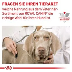 Royal Canin Anallergenic Hundefutter 14 Royal Canin Anallergenic Hundefutter -Spielzeug Pet 4mhdpTxsgIDlHaqHftt4DIHNvUKt9M metaUkNfVmV0X0FuYWxsZXJnZW5pY182X0RFLmpwZw
