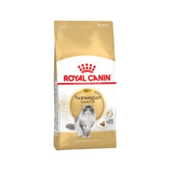 Royal Canin Norwegian Forest Cat Adult Katzenfutter -Spielzeug Pet 51438d9d1f75bfadd6ed412dbe0a288cfd742c51678feafc025527957f07f8a4 4