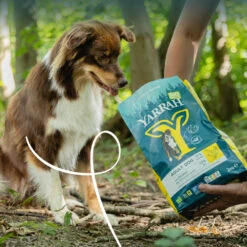 Yarrah Bio Adult Hundefutter - Huhn -Spielzeug Pet 56XBppaJxG1FxYgd4YyZTdzJkrJua9 metaWWFycmFoLS0tRHJvb2d2b2VyLUhvbmQtbWV0LUtpcC1CaW8tMi5qcGc