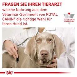 Royal Canin Anallergenic Kleiner Hund -Spielzeug Pet 5Nf0aAy7QG9ZclPOmGUolDvxngenSs metaUkNfVmV0X0FuYWxsZXJnZW5pY19TbWFsbF82X0RFLmpwZw