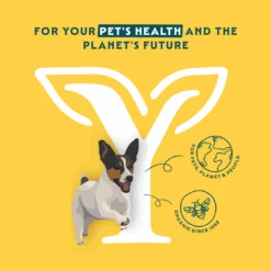 Yarrah Bio Small Breed Hundefutter 5 Yarrah Bio Small Breed Hundefutter -Spielzeug Pet DyVorjwVX0VBtMFnSVTfOp6vZDw9c9 metaMTcwNjMtfjEuUE5H