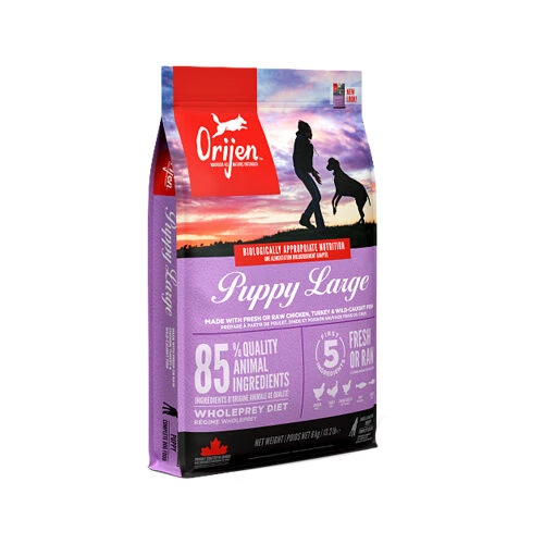 Orijen Puppy Large Breed Whole Prey Hundefutter 1 Orijen Puppy Large Breed Whole Prey Hundefutter