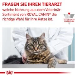 Royal Canin Anallergenic Katzenfutter 15 Royal Canin Anallergenic Katzenfutter -Spielzeug Pet KIjQlOG6HhSJRyGxdsbCuK63VHr9QT metaUkNfVmV0X0FuYWxsZXJnZW5pY19GZWxpbmVfN19ERS5qcGc