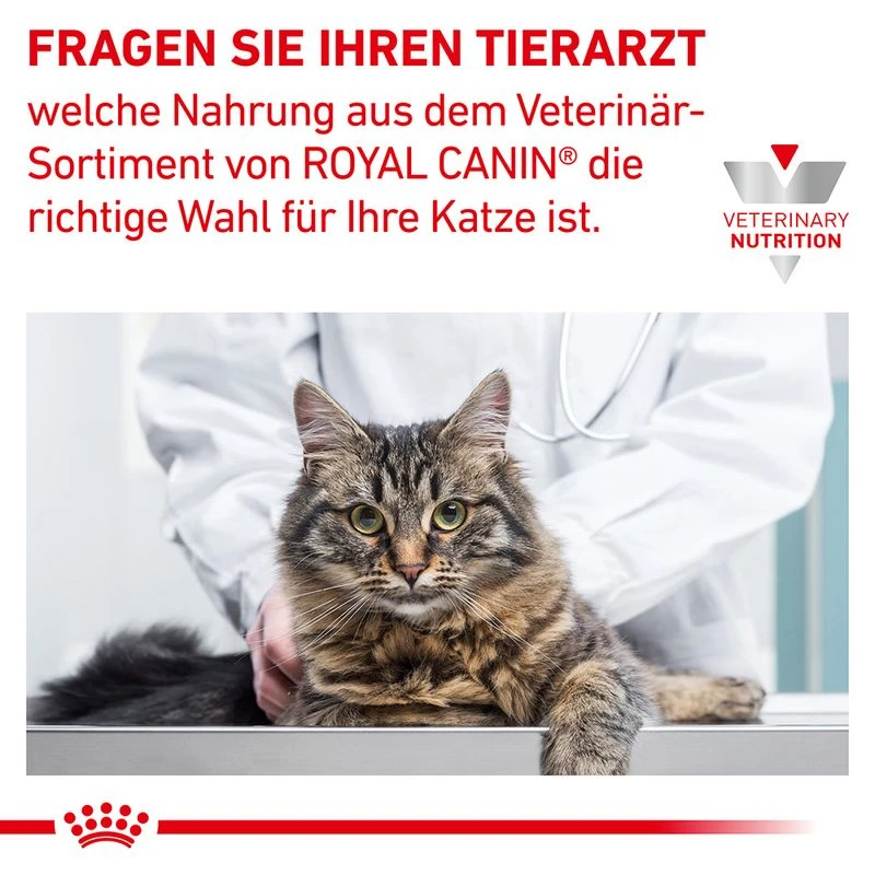 Royal Canin Anallergenic Katzenfutter 7 Royal Canin Anallergenic Katzenfutter – Bild 7