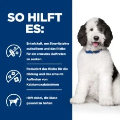 Hill's Prescription Diet C/d Urinary Care Hundefutter -Spielzeug Pet LWxDcMPXYzlEcGU76heo2OOA19fjzw metaNTI3NDIwNTIxNDRfM19ERS5qcGc