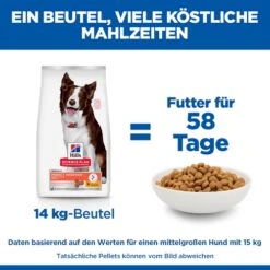 Hill's Science Plan Adult Perfect Digestion Medium -Spielzeug Pet LdHEbhyppPpTmM9eLL9gHOTkrLPxO2 metaNTI3NDIwNDQxMzJfNF9ERV81MDAuSlBH