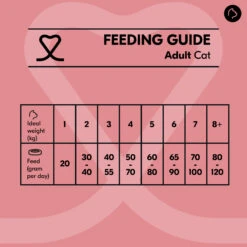 Vetality Adult - Katzenfutter 8 Vetality Adult - Katzenfutter -Spielzeug Pet NZc5qpCPEcbykyFm34BunLY20c2A9j metacHJvZHVjdGJveC0tQWR1bHQtY2F0LU5MLXZvZWRpbmdzdGFiZWwuanBn