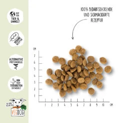 VegDog Green Crunch Hundefutter -Spielzeug Pet Oue273OsoYjl59XN6OClULdkMnHk8s metaR1JFRU4tQ1JVTkNIX0ljb25zLmpwZw