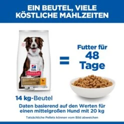 Hill's Science Plan Adult Healthy Mobility Medium Hundefutter 12 Hill's Science Plan Adult Healthy Mobility Medium Hundefutter -Spielzeug Pet Pz4ThawpeORTjAELwfPd6fTbJaRIrt metaNTI3NDIwMjUxMjRfNF9ERV81MDAuSlBH