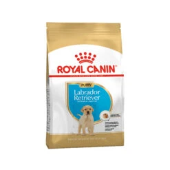 Royal Canin Labrador Retriever Puppy Hundefutter