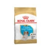 Royal Canin Cavalier King Charles Puppy Hundefutter