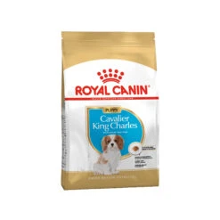 Royal Canin Cavalier King Charles Puppy Hundefutter