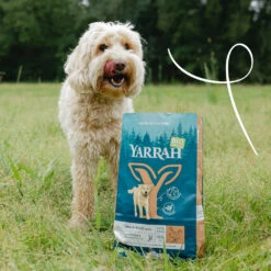 Yarrah Bio Getreidefreies Hundefutter - Hühnchen & Fisch -Spielzeug Pet Wkd5UohhHEcEREAJb1gA47KulLqD85 metaWWFycmFoLS0tRHJvb2d2b2VyLUhvbmQtR3JhYW52cmlqLUJpby0yLmpwZw