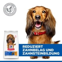 Hill's Science Plan Adult Oral Care Medium Hundefutter -Spielzeug Pet Wr4854iDIC48j6A7rTjjHk1ss50NmL metaNTI3NDIwMjUxODZfMl9ERV81MDAuSlBH