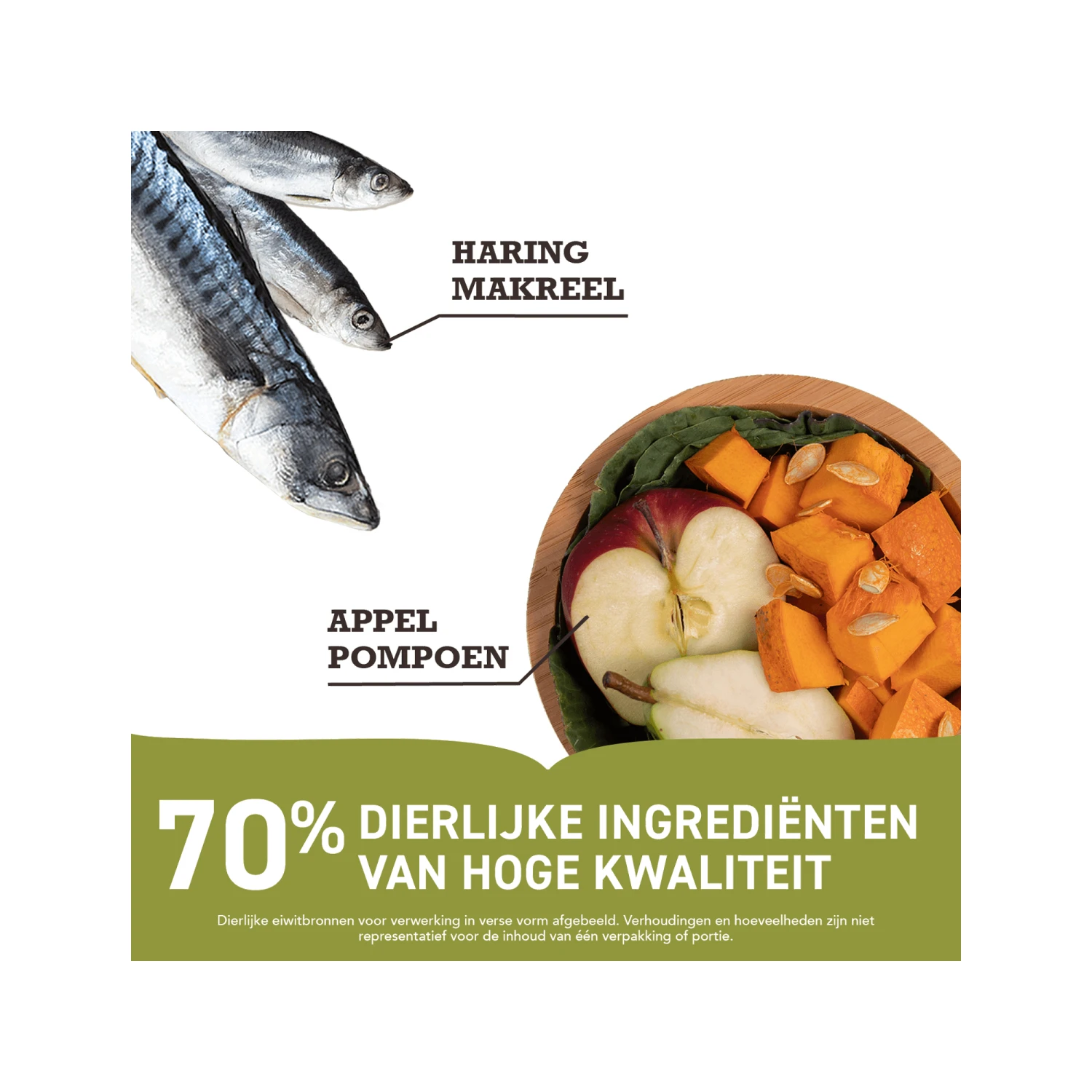 ACANA Regionals Hundefutter - Pacifica 2 ACANA Regionals Hundefutter - Pacifica – Bild 2