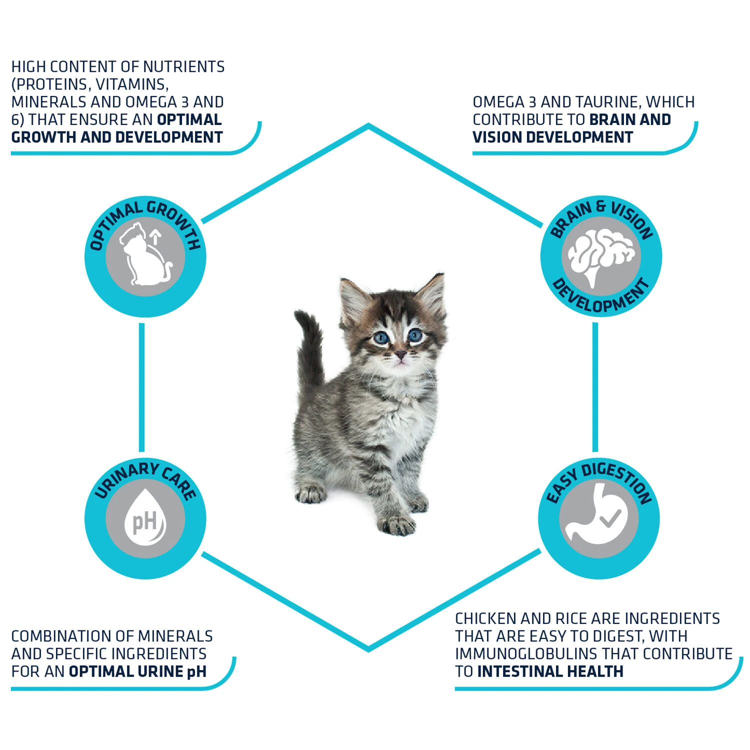 Affinity Advance Kitten Huhn Und Reis 3 Affinity Advance Kitten Huhn Und Reis – Bild 3