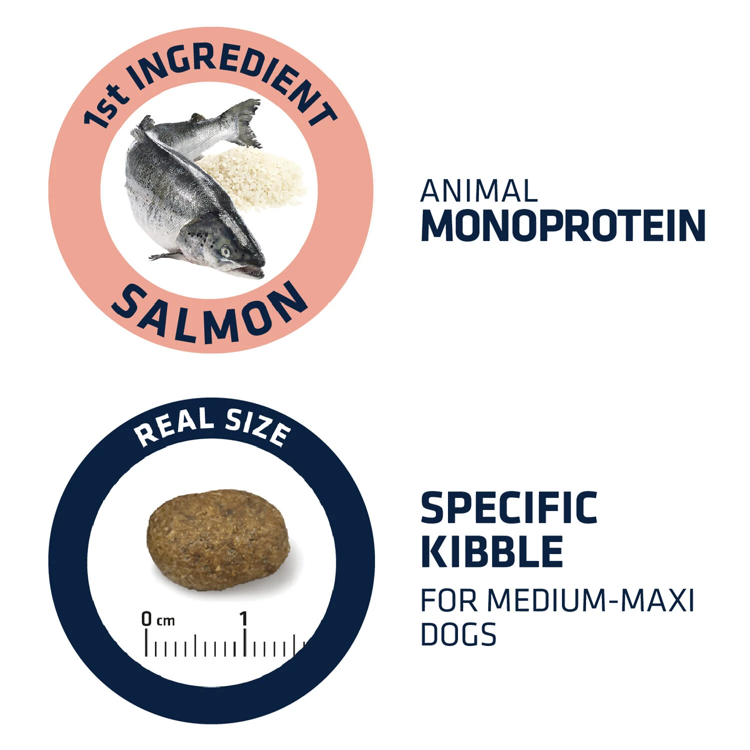 Affinity Advance Sensitive Medium-Maxi Lachs & Reis - Hund 4 Affinity Advance Sensitive Medium-Maxi Lachs & Reis - Hund – Bild 4