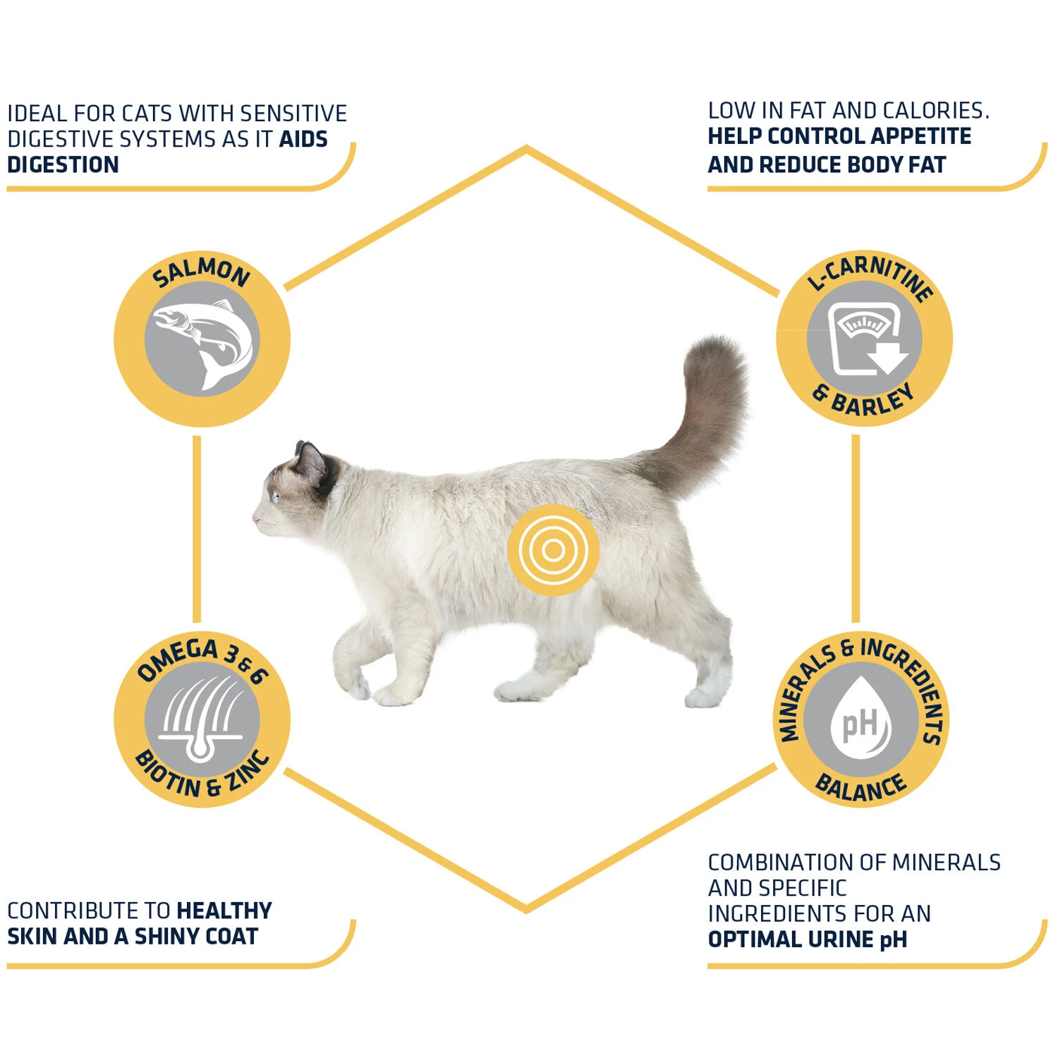 Affinity Advance Sterilized Salmon Sensitive - Katze 3 Affinity Advance Sterilized Salmon Sensitive - Katze – Bild 3