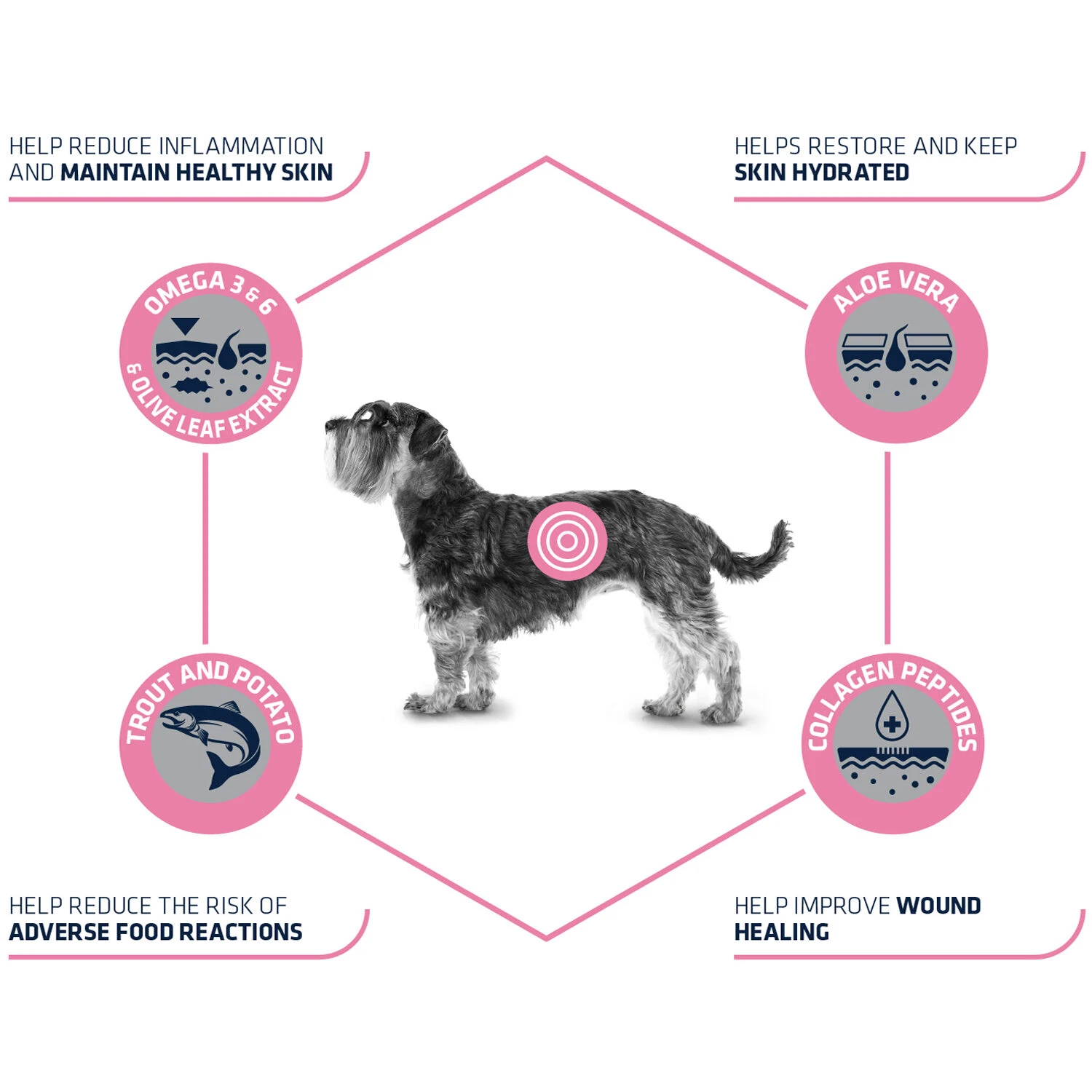 Affinity Advance Veterinary Diets Atopic Mini Hund 7 Affinity Advance Veterinary Diets Atopic Mini Hund – Bild 7