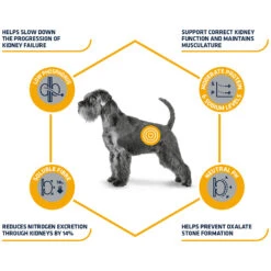 Affinity Advance Veterinary Diets Renal Hund -Spielzeug Pet affinity advance veterinary diets renal hond 177343 1500 none