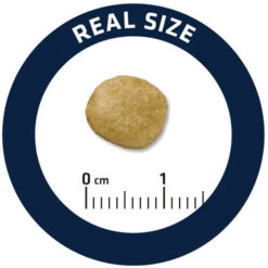 Affinity Advance Veterinary Diets Renal Hund -Spielzeug Pet affinity advance veterinary diets renal hond 177349 0500 none