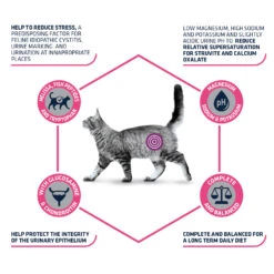 Affinity Advance Veterinary Diets Urinary Stress Katze 12 Affinity Advance Veterinary Diets Urinary Stress Katze -Spielzeug Pet affinity advance veterinary diets urinary stress kat 176836 1500 none