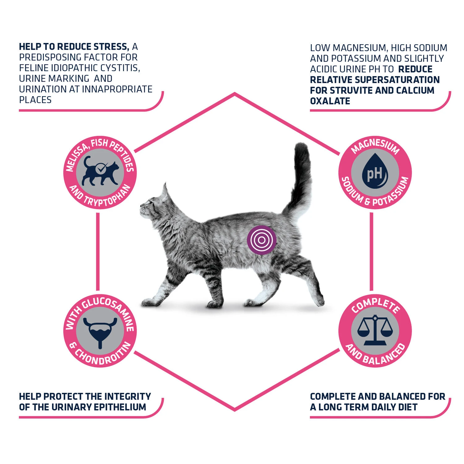 Affinity Advance Veterinary Diets Urinary Stress Katze 5 Affinity Advance Veterinary Diets Urinary Stress Katze – Bild 5