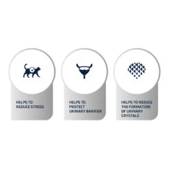 Affinity Advance Veterinary Diets Urinary Stress Katze 13 Affinity Advance Veterinary Diets Urinary Stress Katze -Spielzeug Pet affinity advance veterinary diets urinary stress kat 176839 1500 none