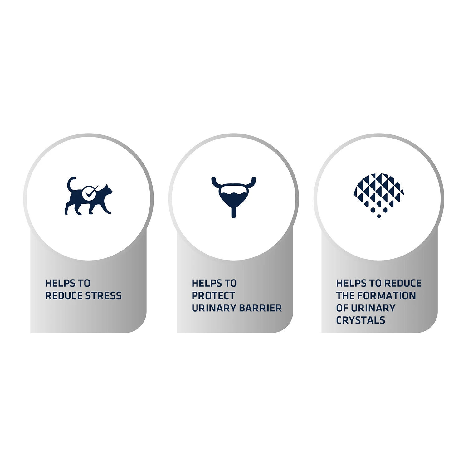 Affinity Advance Veterinary Diets Urinary Stress Katze 6 Affinity Advance Veterinary Diets Urinary Stress Katze – Bild 6