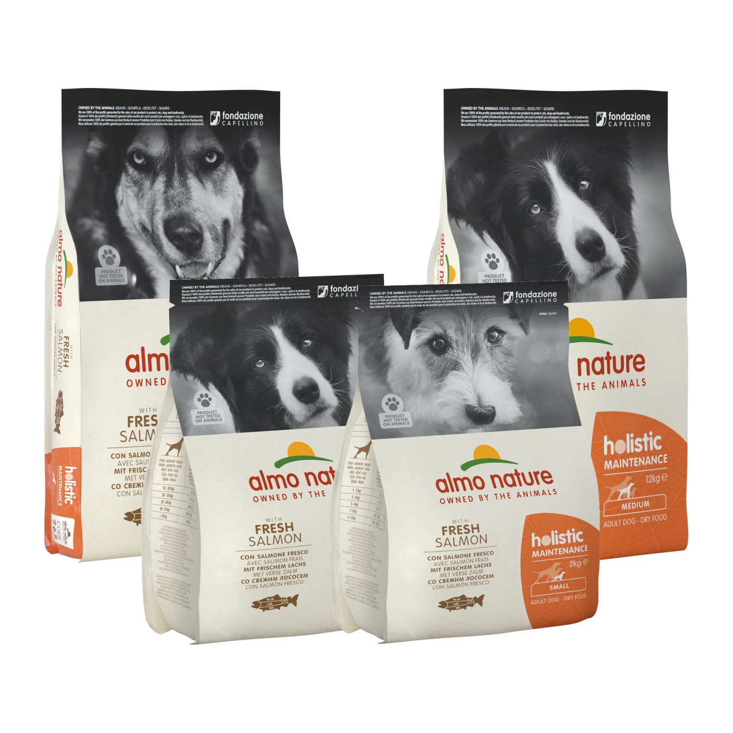 Almo Nature Holistic Maintenance Hundefutter - Lachs – Bild 6