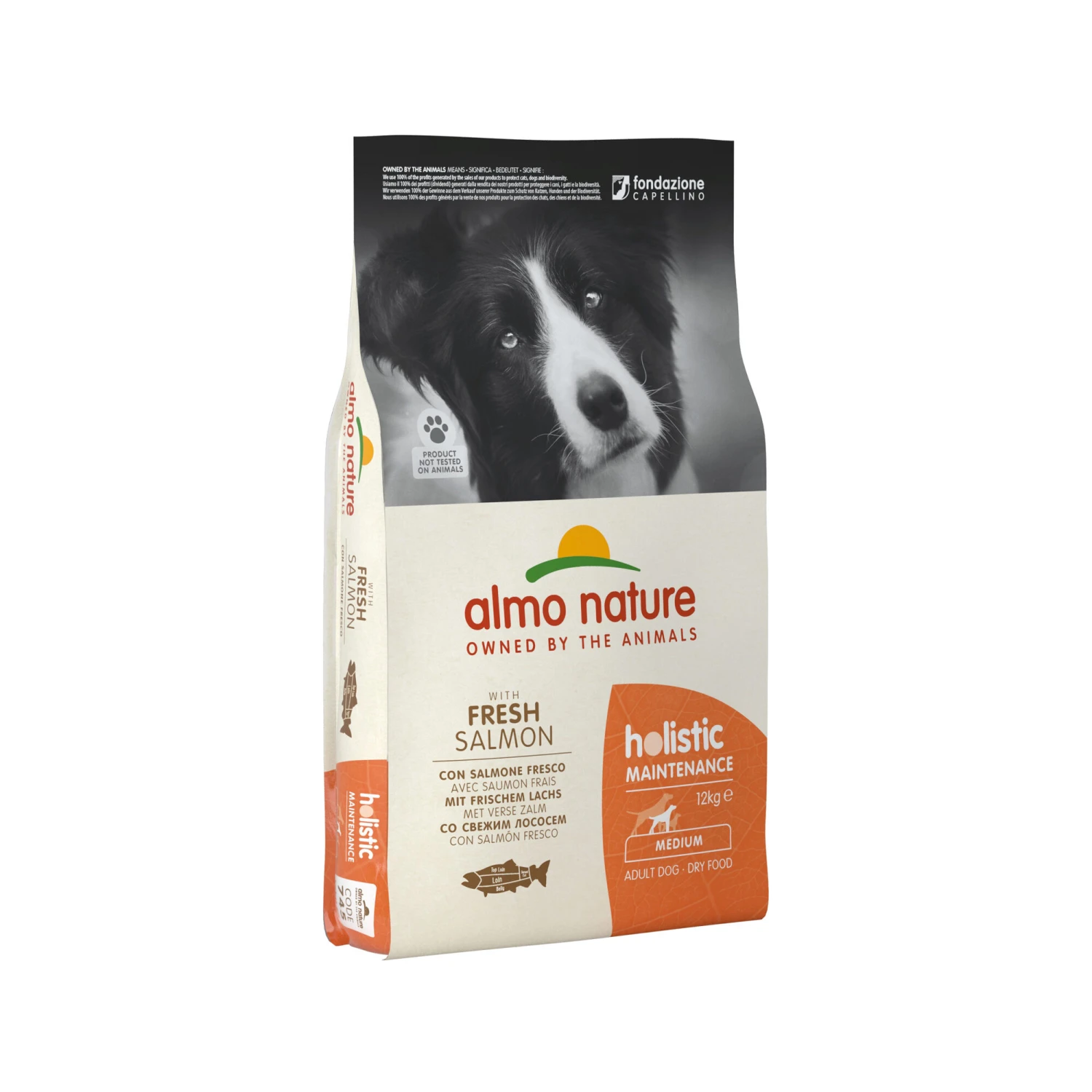 Almo Nature Holistic Maintenance Hundefutter - Lachs – Bild 2