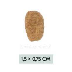 Vetality Weight Management - Hundefutter 14 Vetality Weight Management - Hundefutter -Spielzeug Pet aogRFN3Gw387vvZLoZp9TskkdDc0df metadmV0YWxpdHlfd2VpZ2h0X21hbmFnZW1lbnRfX2hvbmRlbnZvZXJfMTk1NDU1XzA1MDBfbm9uZS5qcGc