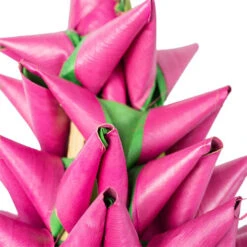 Back Zoo Nature Napa Vogelspielzeug - Palmleaf Tower