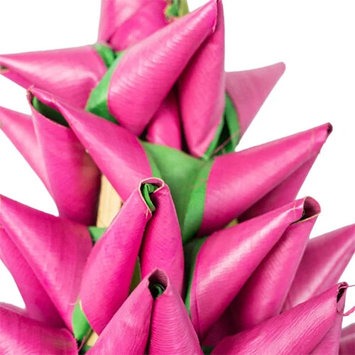 Back Zoo Nature Napa Vogelspielzeug - Palmleaf Tower 1 Back Zoo Nature Napa Vogelspielzeug - Palmleaf Tower