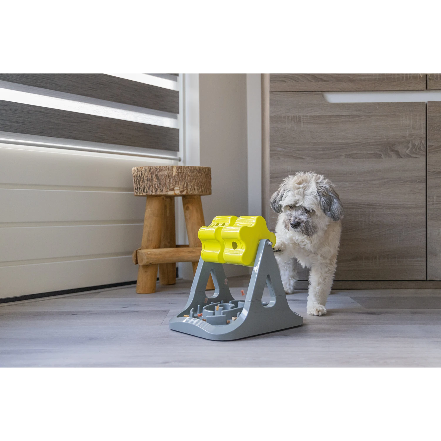 Beeztees Brain Game Rodar 5 Beeztees Brain Game Rodar – Bild 5