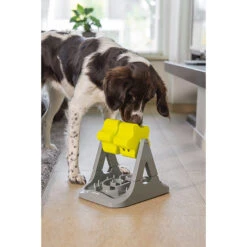 Beeztees Brain Game Rodar 9 Beeztees Brain Game Rodar -Spielzeug Pet beeztees brain game rodar 221757 2000 none