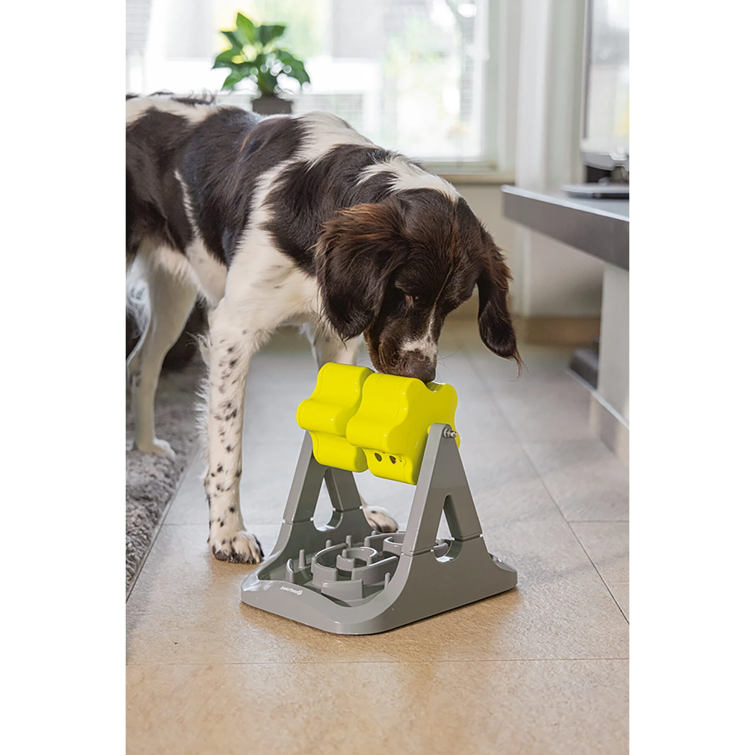 Beeztees Brain Game Rodar 4 Beeztees Brain Game Rodar – Bild 4