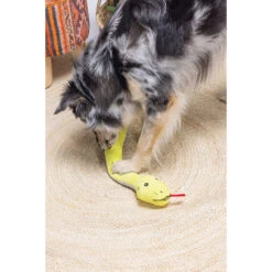 Beeztees Hide And Seek Schlange -Spielzeug Pet beeztees hide and seek slang 221781 2000 none