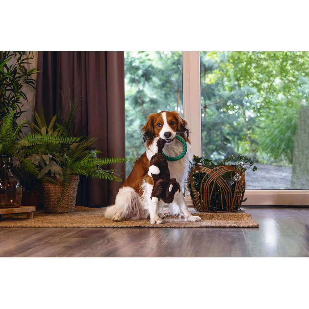 Beeztees Dschungelmatten 2 Beeztees Dschungelmatten – Bild 2