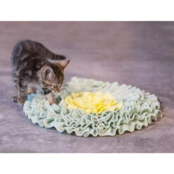 Beeztees Kätzchen Schnüffelmatte Flowie 6 Beeztees Kätzchen Schnüffelmatte Flowie -Spielzeug Pet beeztees kitten snuffelmat flowie 216525 2000 none