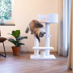 Beeztees Kratzmöbel Serpa Figo -Spielzeug Pet beeztees krabmeubel serpa figo 225773 1000 none