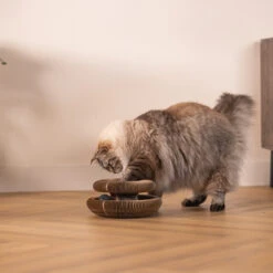 Beeztees Kratzspielzeug Loet 8 Beeztees Kratzspielzeug Loet -Spielzeug Pet beeztees krabspeelgoed loet 226273 2000 none