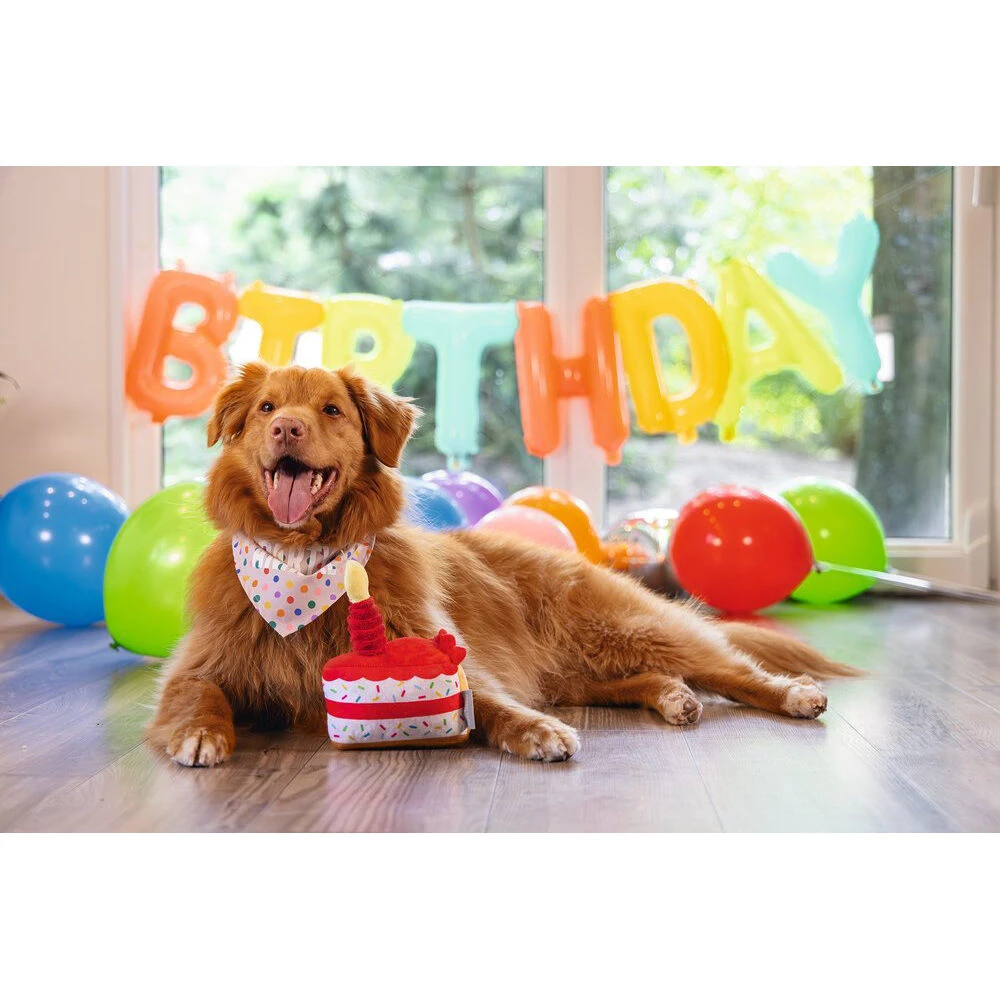 Beeztees Plüsch-Partytorte 2 Beeztees Plüsch-Partytorte – Bild 2