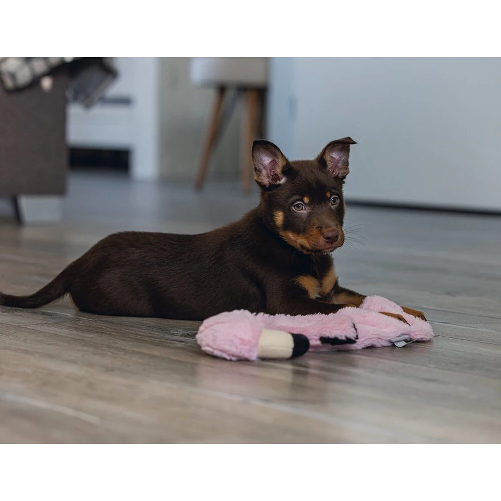 Beeztees Puppy Flatino Flamingo Fe 2 Beeztees Puppy Flatino Flamingo Fe – Bild 2